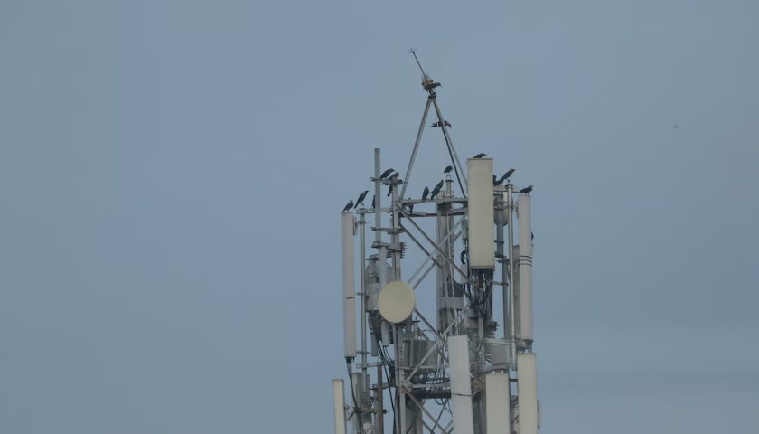 telco 5G India